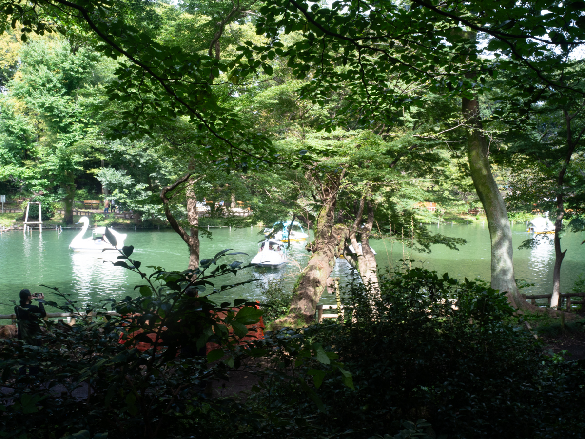 井の頭公園散歩2