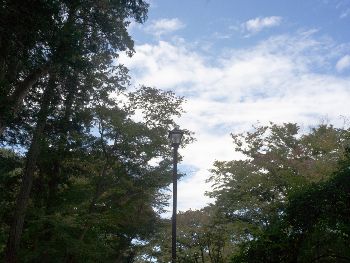 井の頭公園散歩3