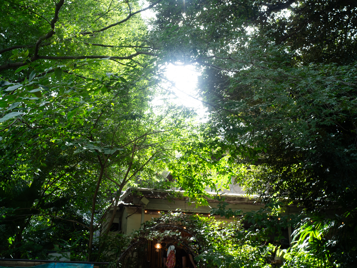 井の頭公園散歩4