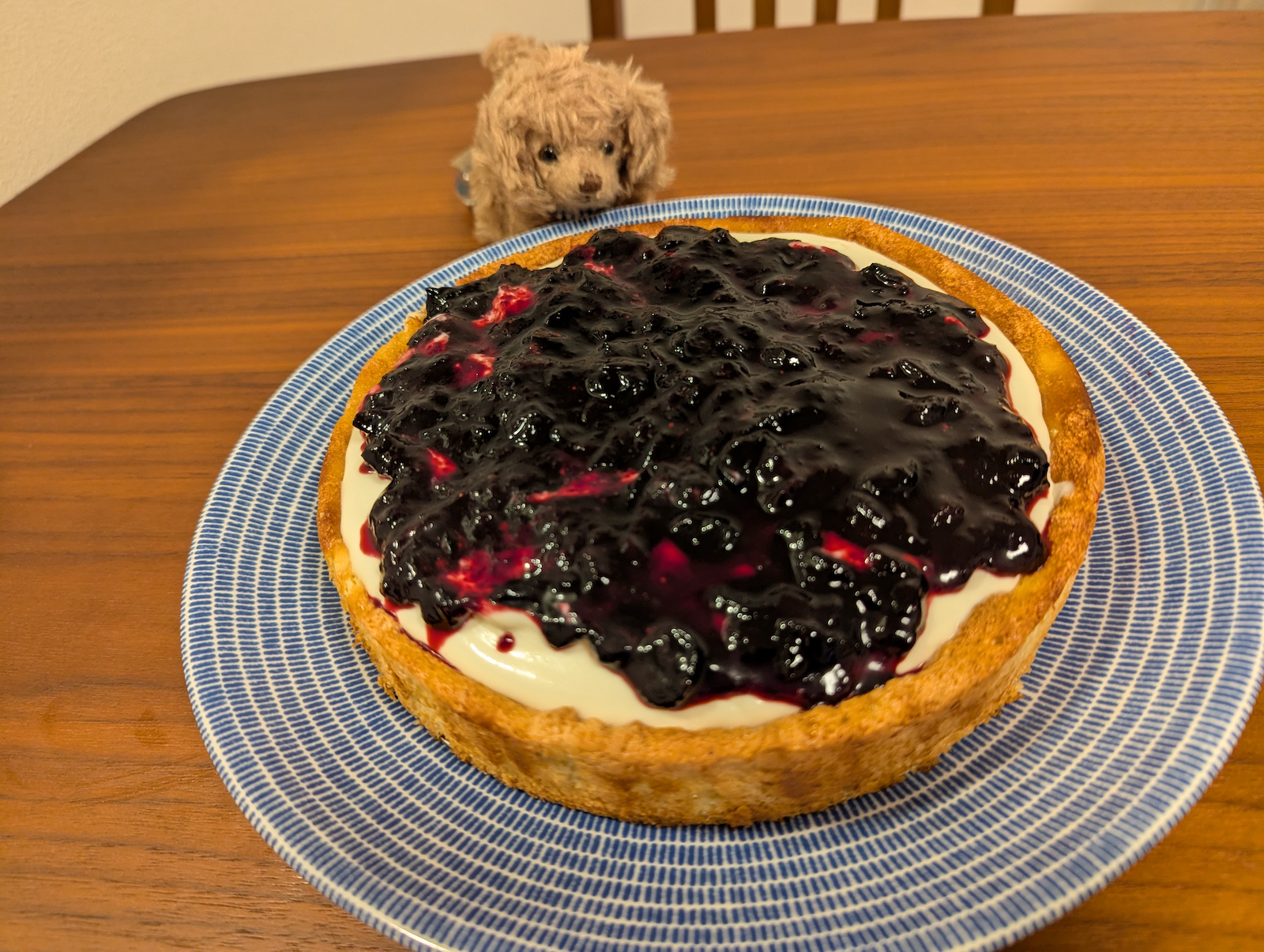 ホール全体写真