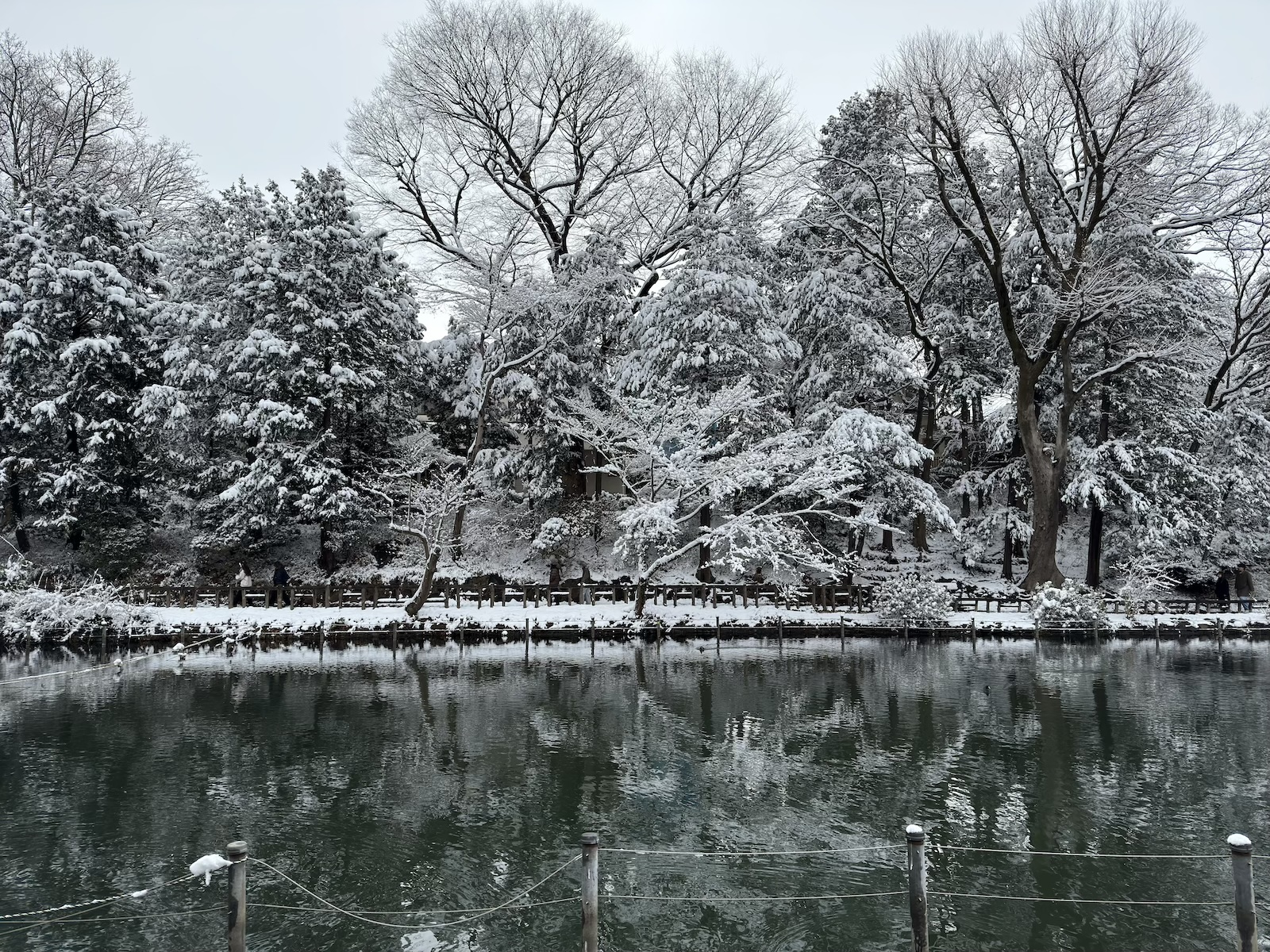 雪の井の頭公園